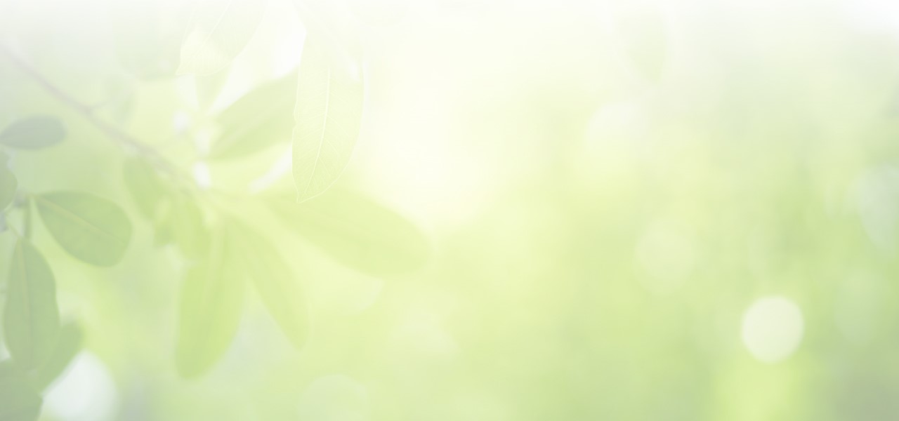 grünes bild mit blätern