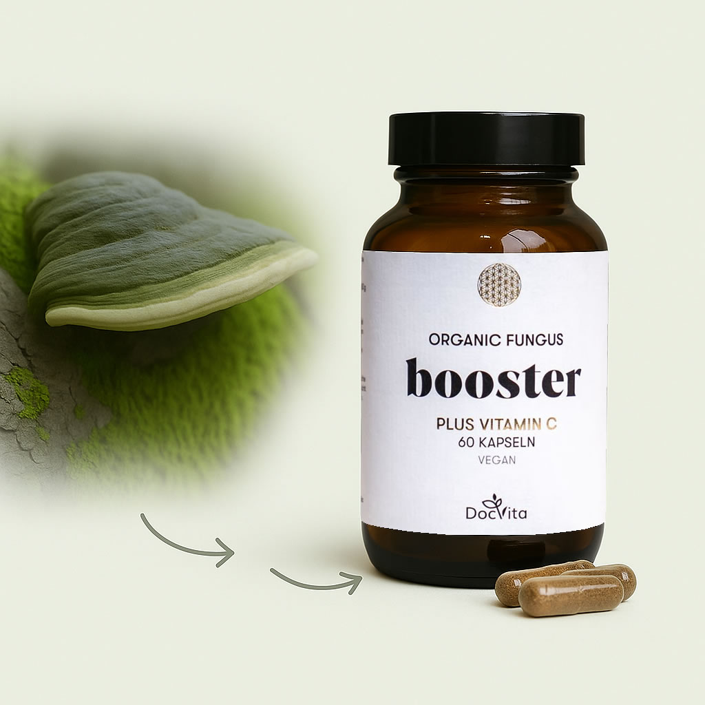 Braunes Glasgefäß mit dem Nahrungsergänzungsmittel „DocVita Organic Fungus Booster“ (mit Vitamin C), daneben Kapseln und ein grüner Zunderschwamm als natürliche Quelle.